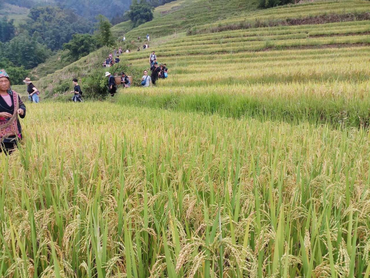 Tuongmai Home & Trekking Tour Sa Pa Eksteriør bilde